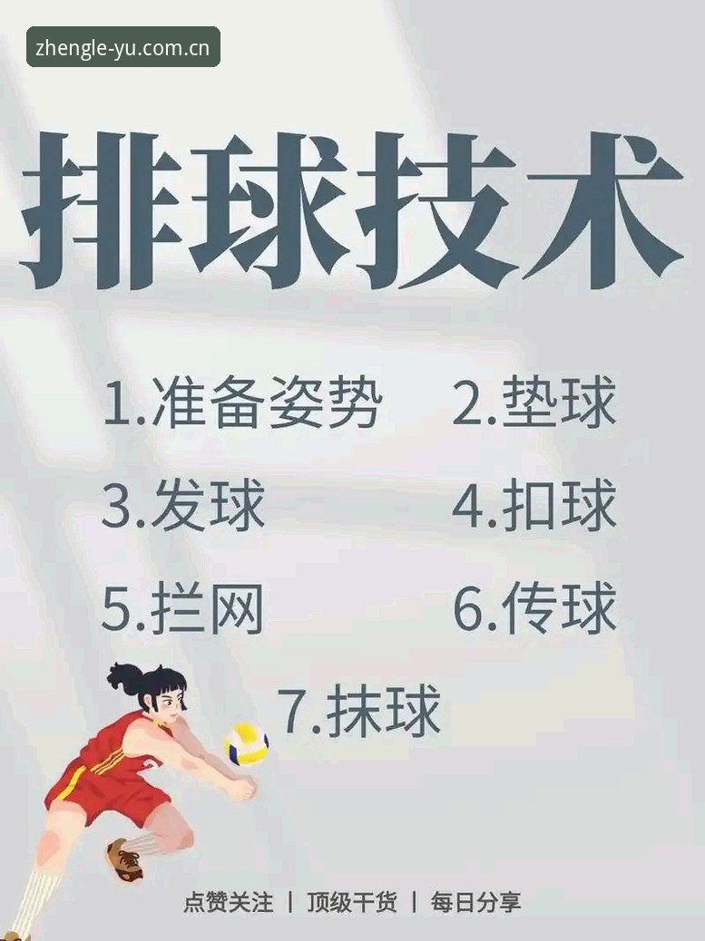 乐鱼体育互动服务功能升级最新动态：新手必看操作指南与实用技巧